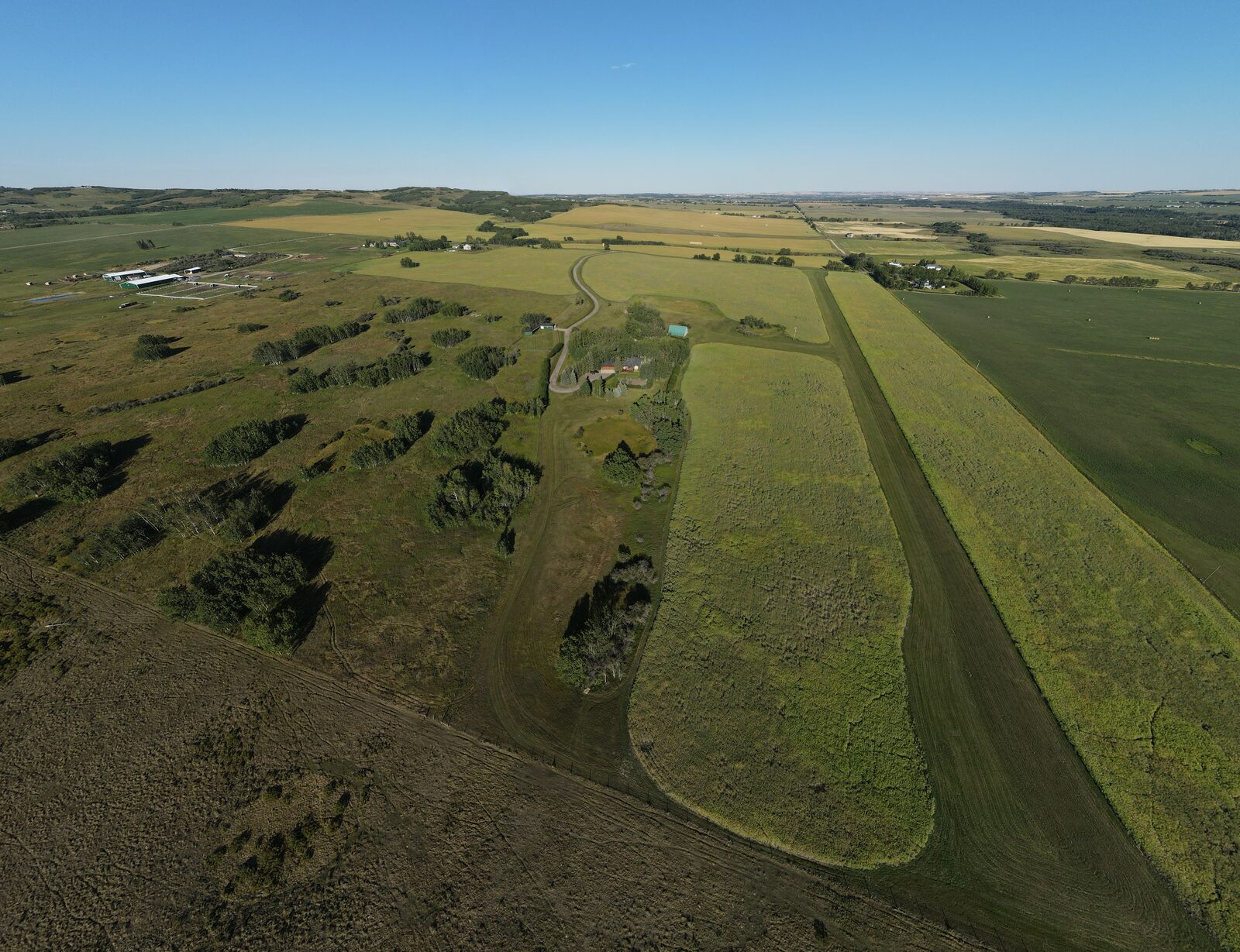 Alberta foothills with canola at edge, summer