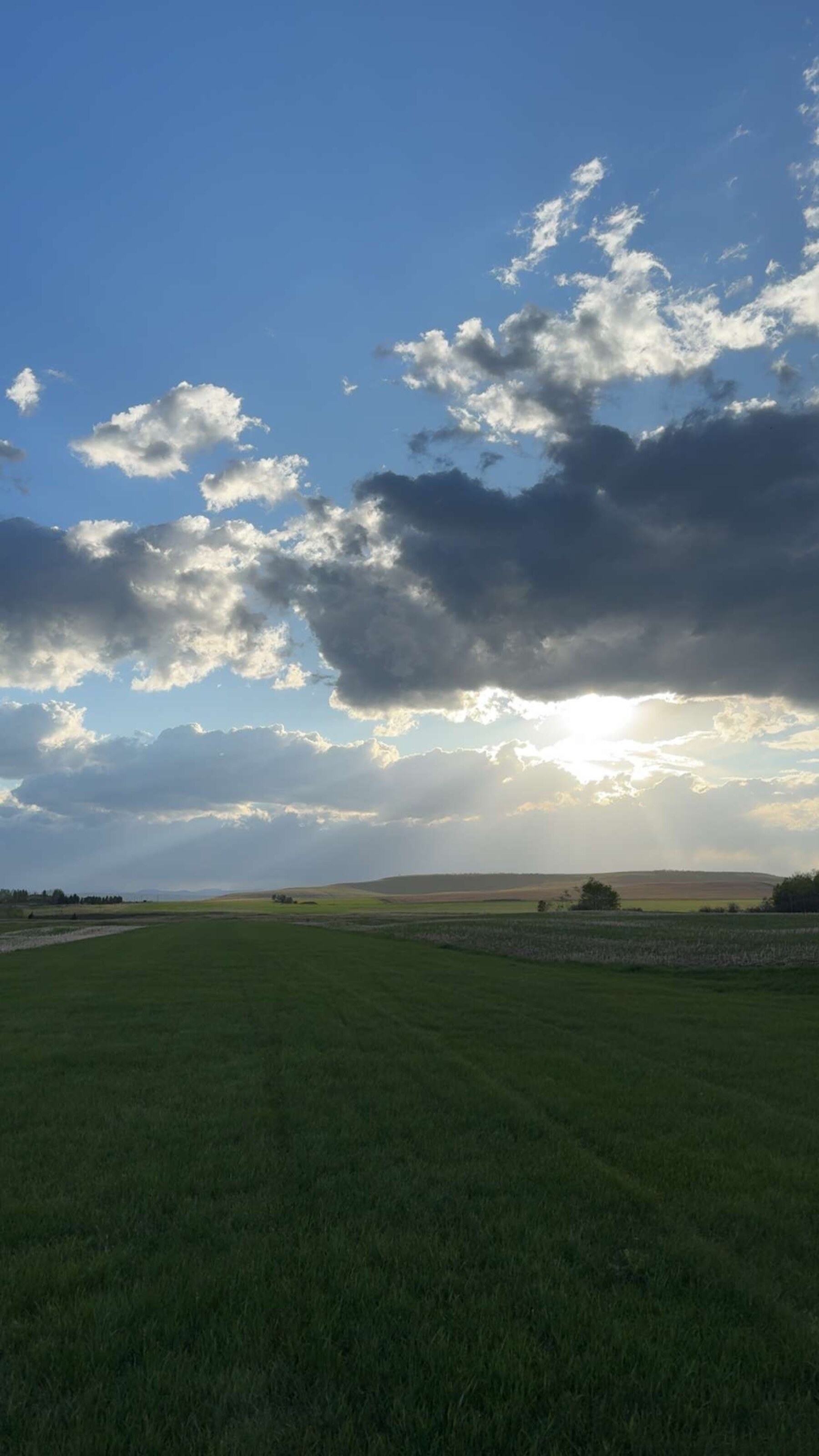 Alberta home strip in summer sun