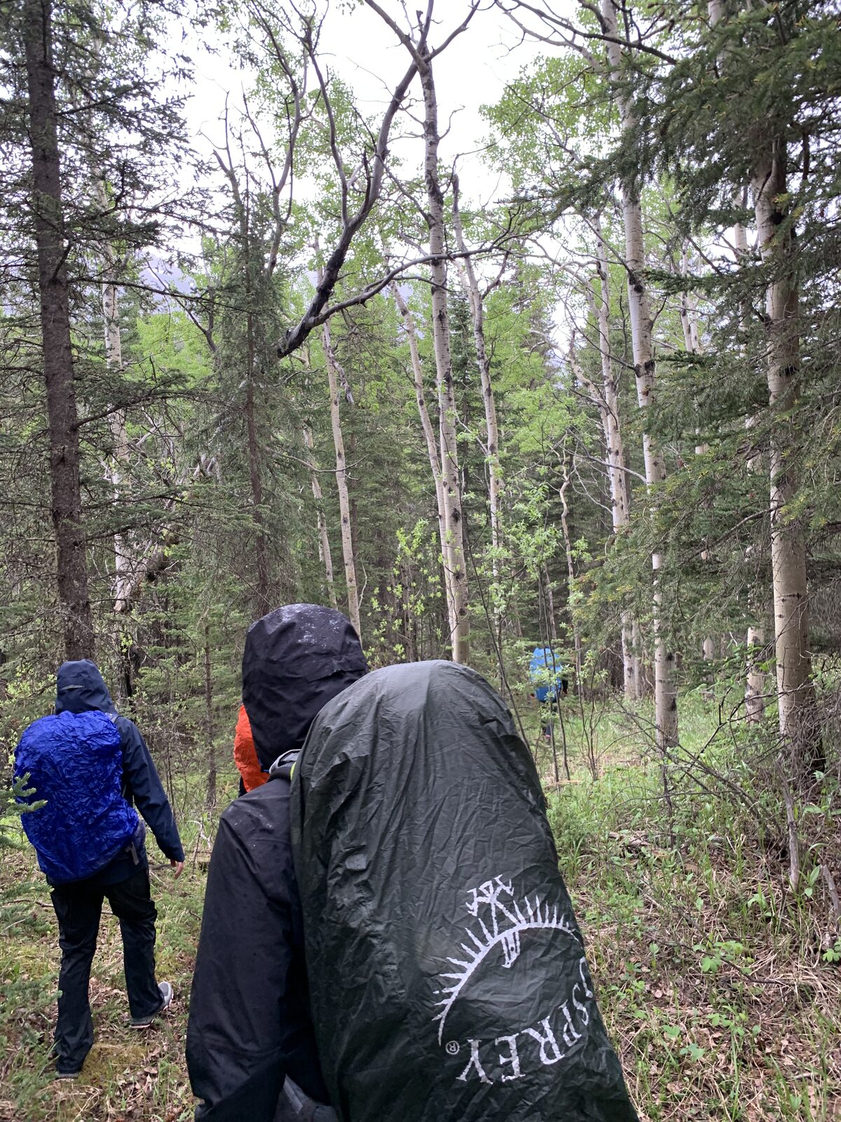 Backcountry camp, second angle