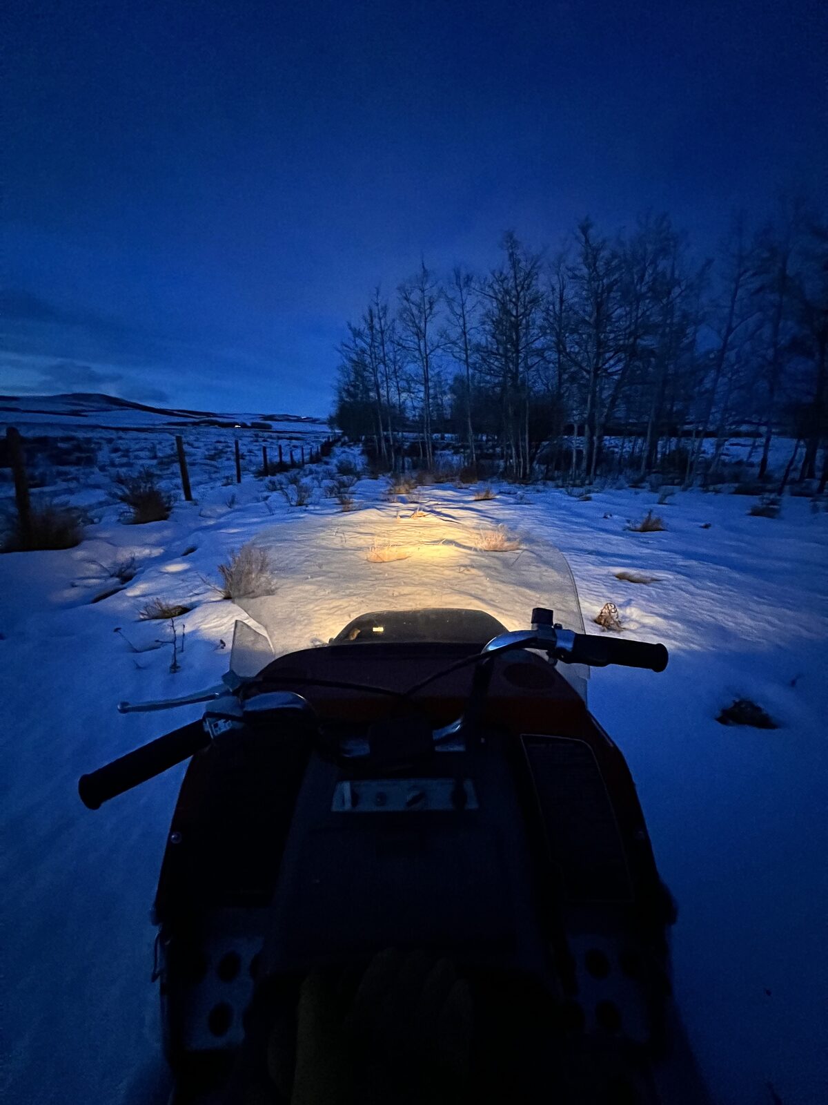 Snowmobile in spruce forest at twilight