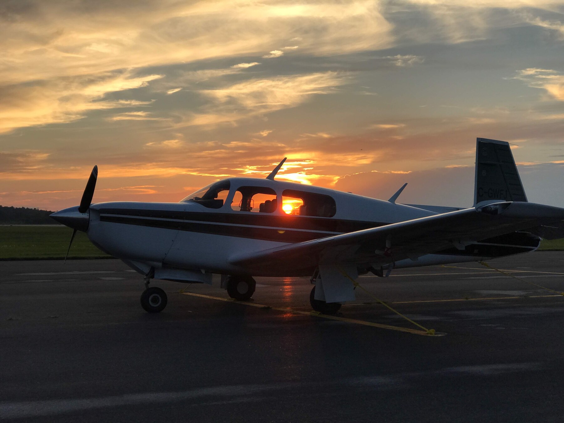 Mooney silhouette at sunset