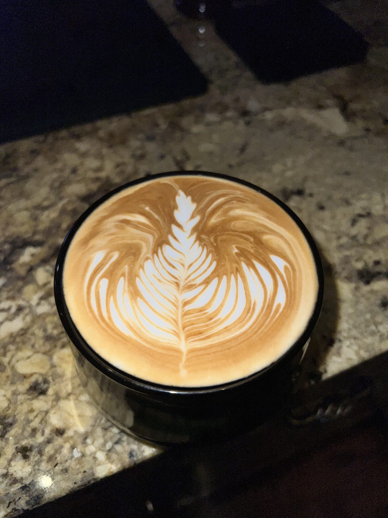 A finished milk drink in a cup, photographed from above, with poured leaf latte art.