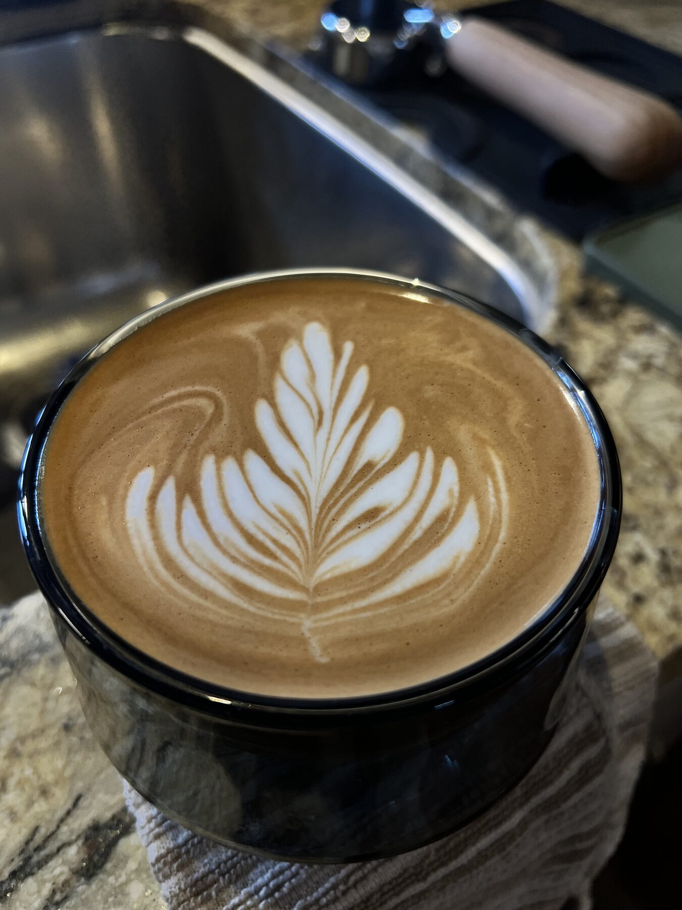 Crisp tulip on a kitchen towel, sink in background.