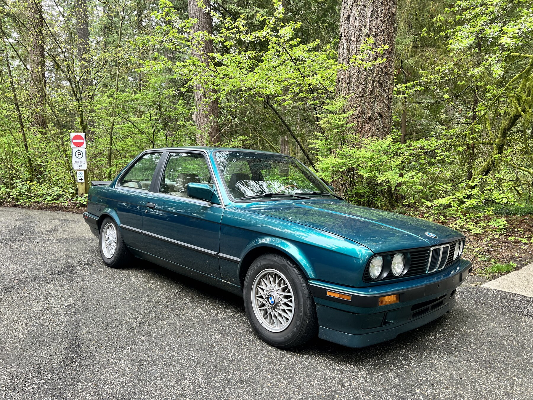 BMW E30 in BC forest