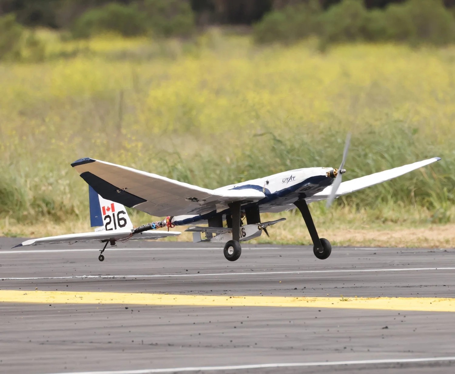 UT-24 Minerva rolling on a runway with tall grass behind it: a white and blue high-wing airframe on fixed tricycle gear, UTAT lettered on the wing. In the same frame, to the left and closer to the camera, a second much smaller airframe on its own wheel, with a fin carrying the Canadian flag and the number 216.