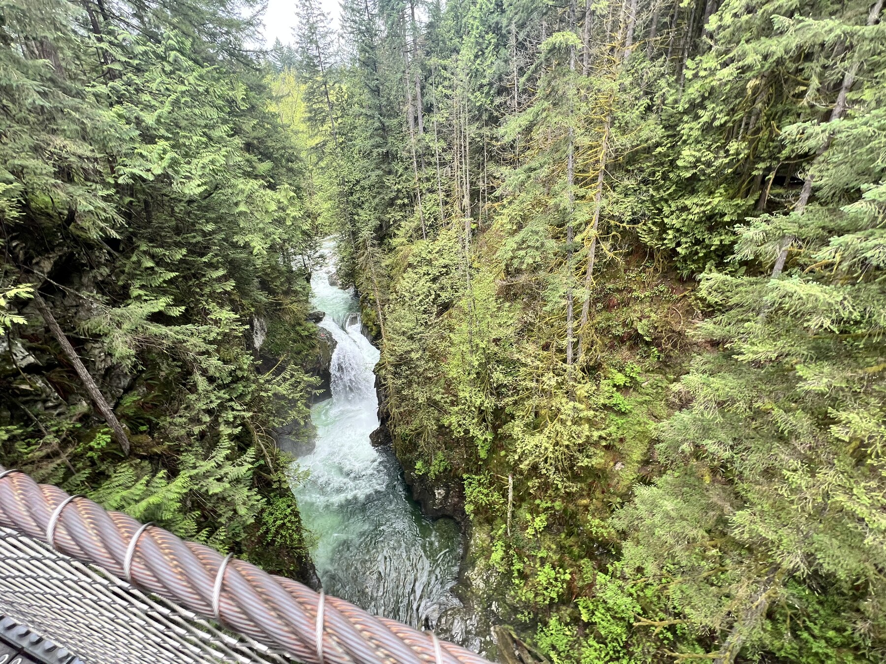 BC gorge with a footbridge edge in the foreground