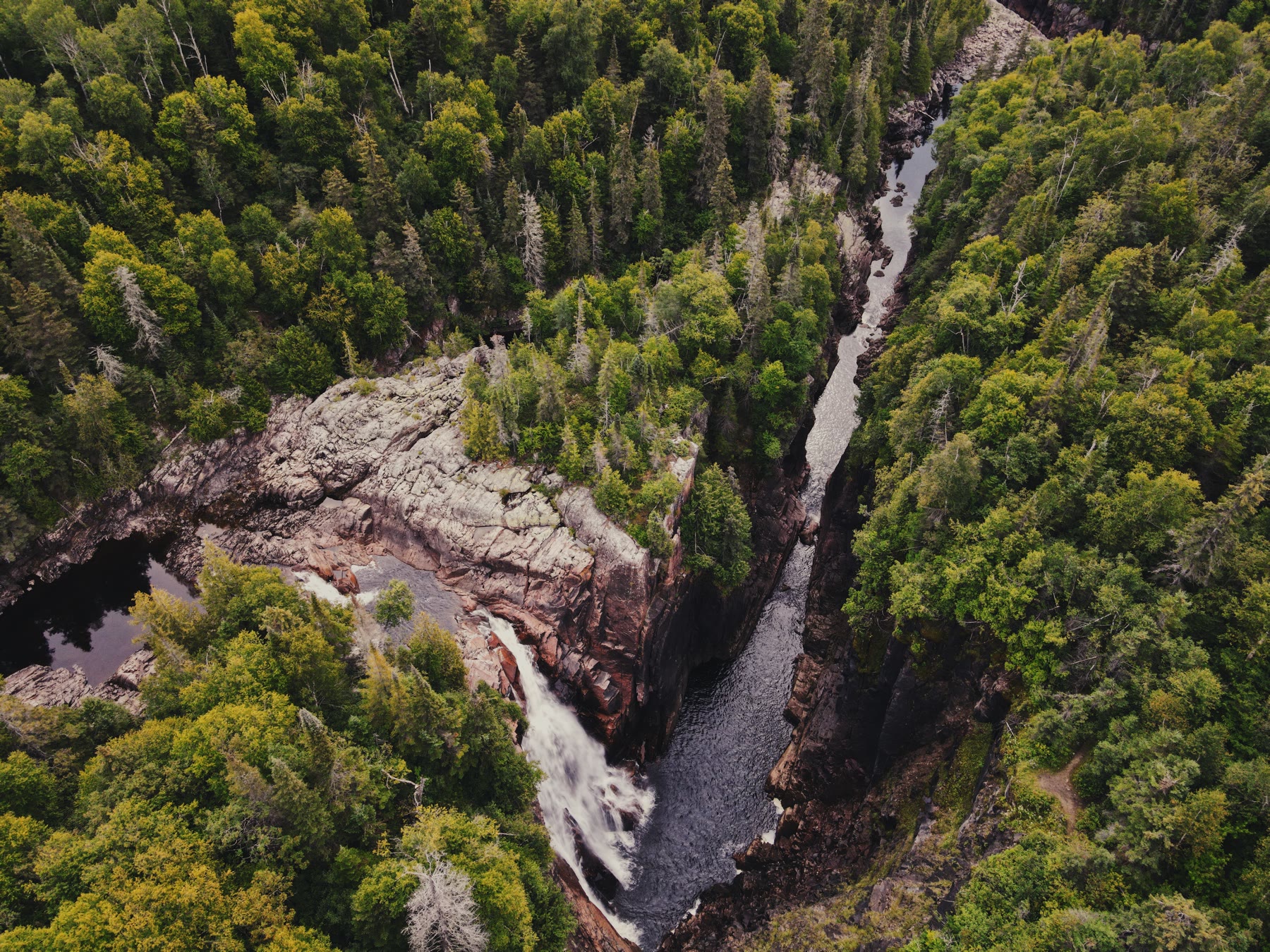 Top-down aerial of a forest gorge with a stream cutting through